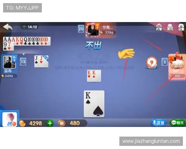 在博鱼百家乐中合理管理资金，确保长久游戏娱乐的成功之路